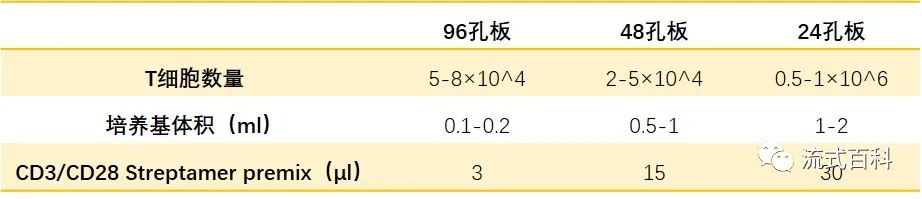 用CD3/CD28做好T细胞激活与扩增-上海雅吉生物科技有限公司-企业发布