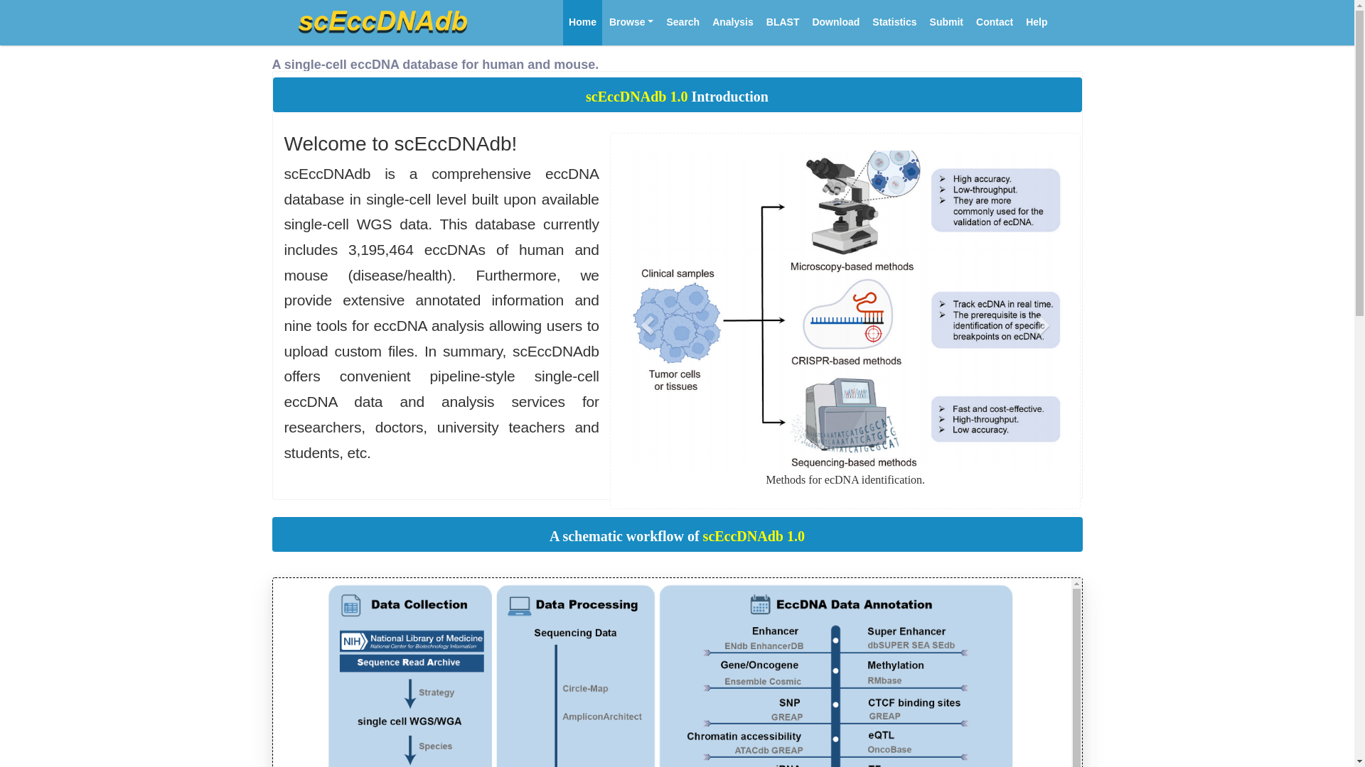scEccDNAdb: an integrated single-cell eccDNA resource for human and ...