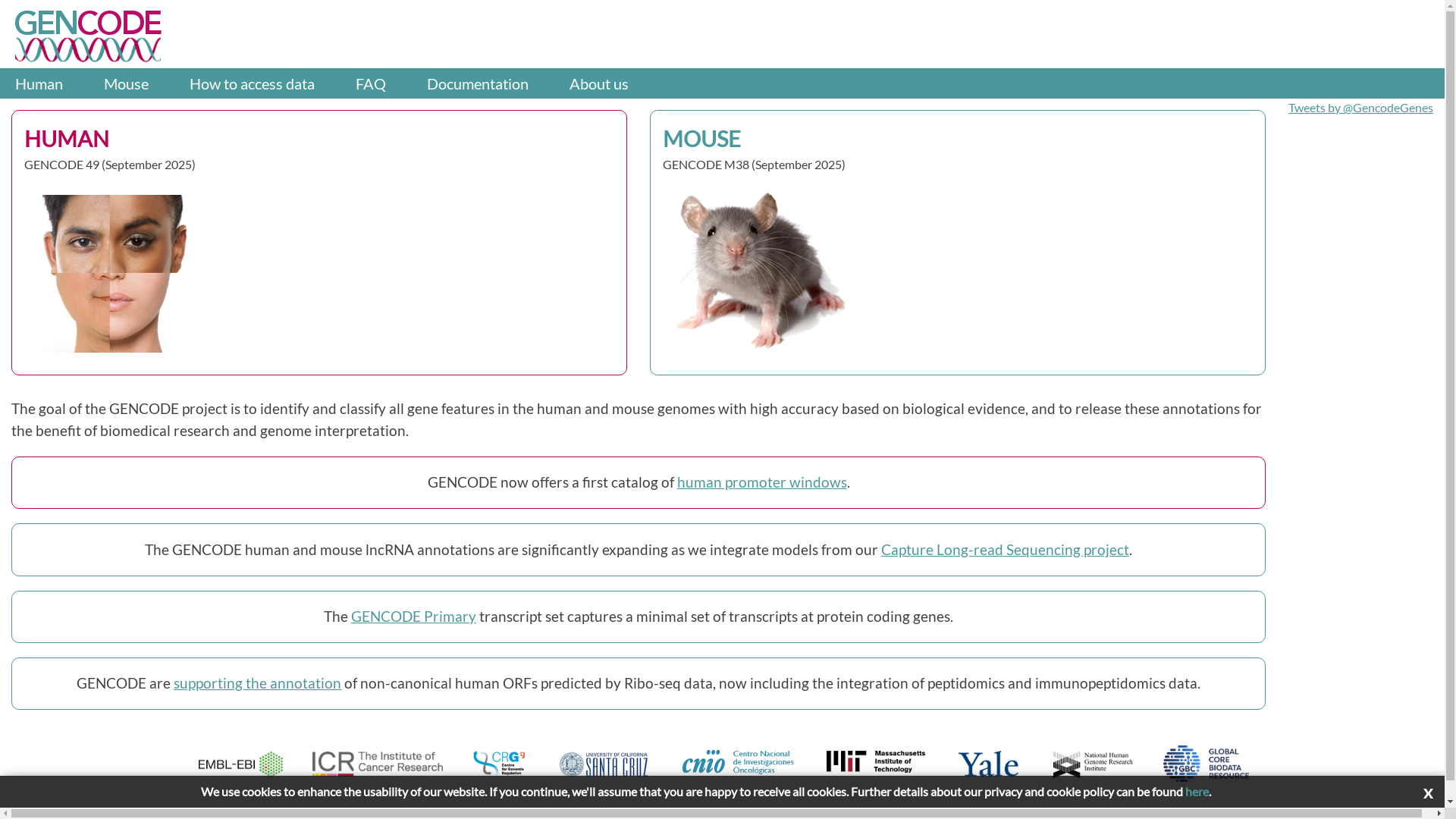 GENCODE: GENCODE 2025: reference gene annotation for human and mouse ...