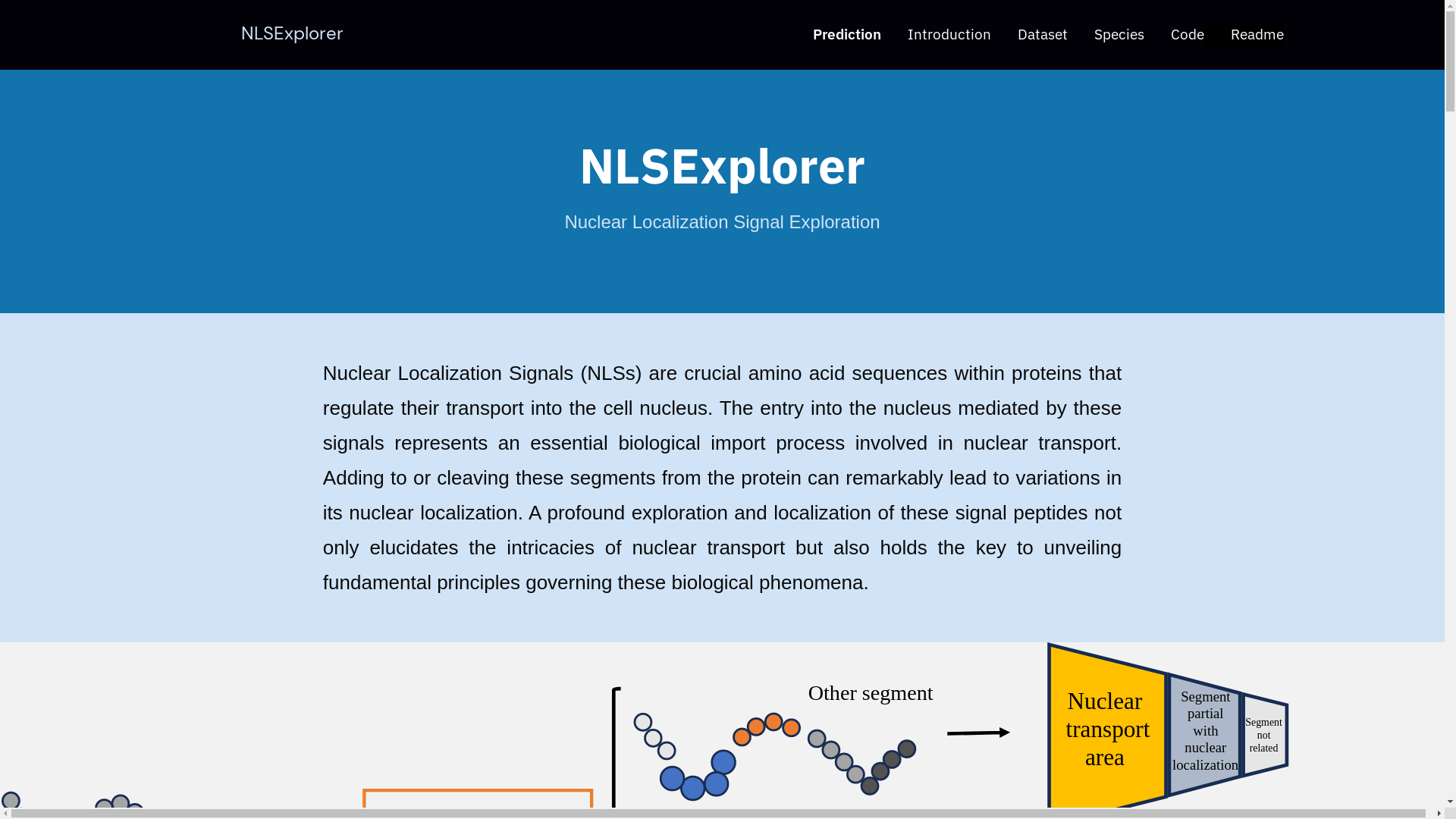 NLSExplorer: Discovering the nuclear localization signal universe ...