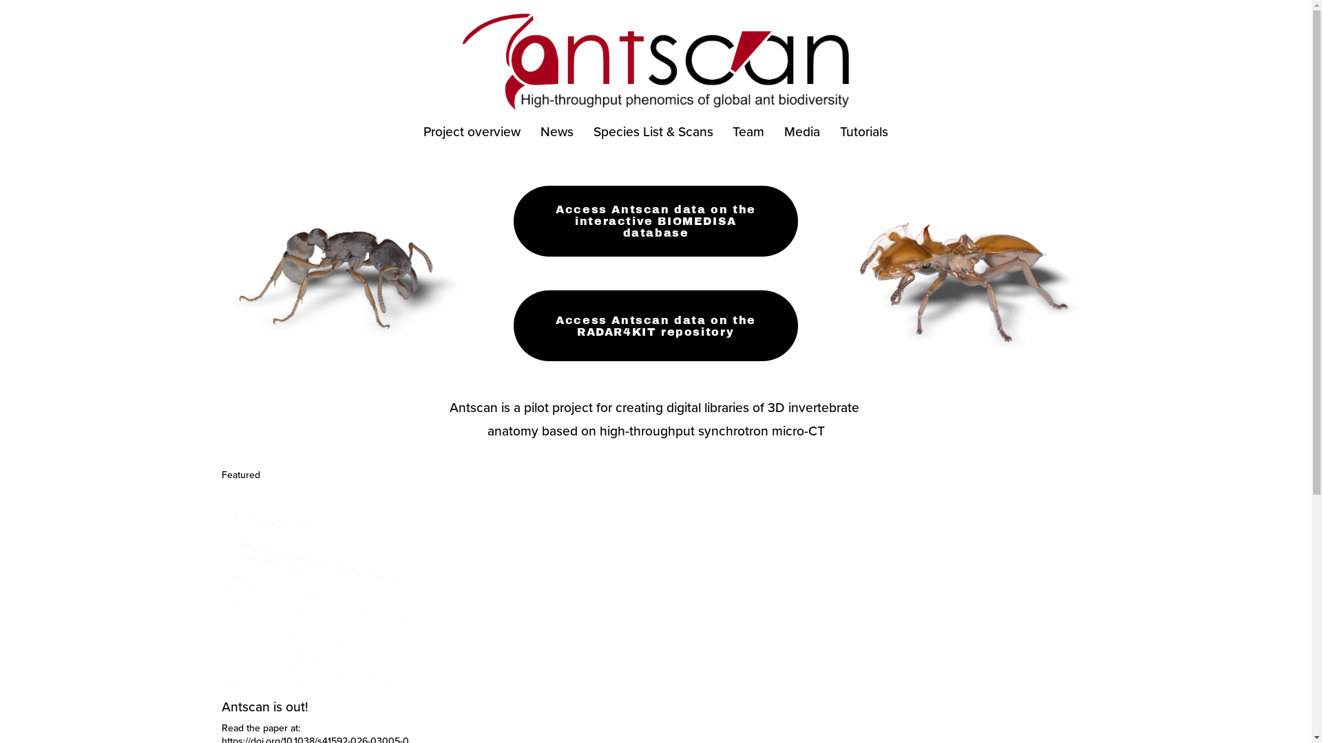 Antscan: High-throughput phenomics of global ant biodiversity ...