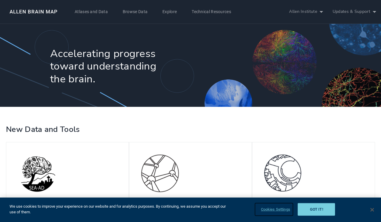 GEPIA: a web server for cancer and normal gene expression profiling and ...