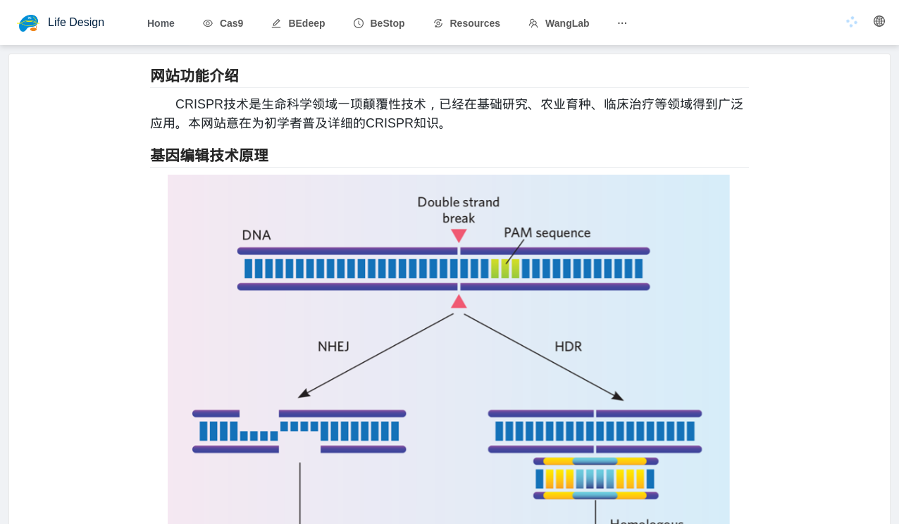 DeepHF: Optimized CRISPR guide RNA design for two high-fidelity Cas9 ...