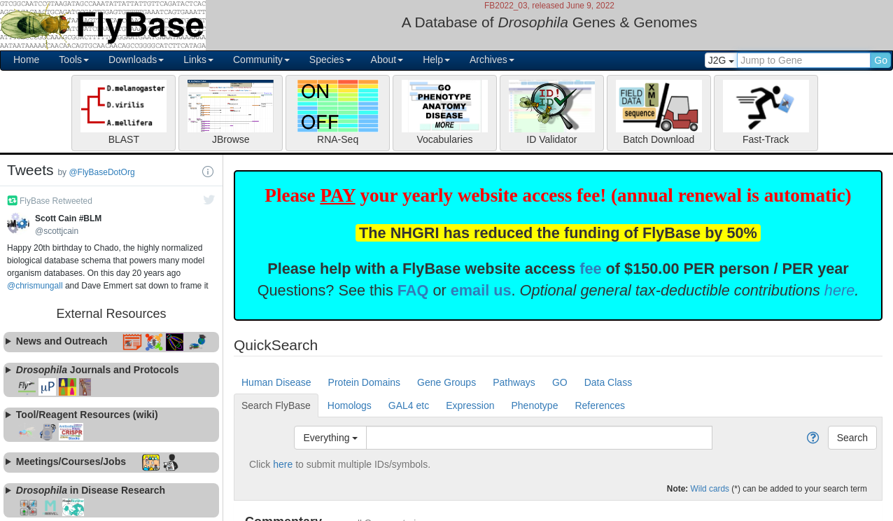 FlyBase: updates to the Drosophila genes and genomes database ...