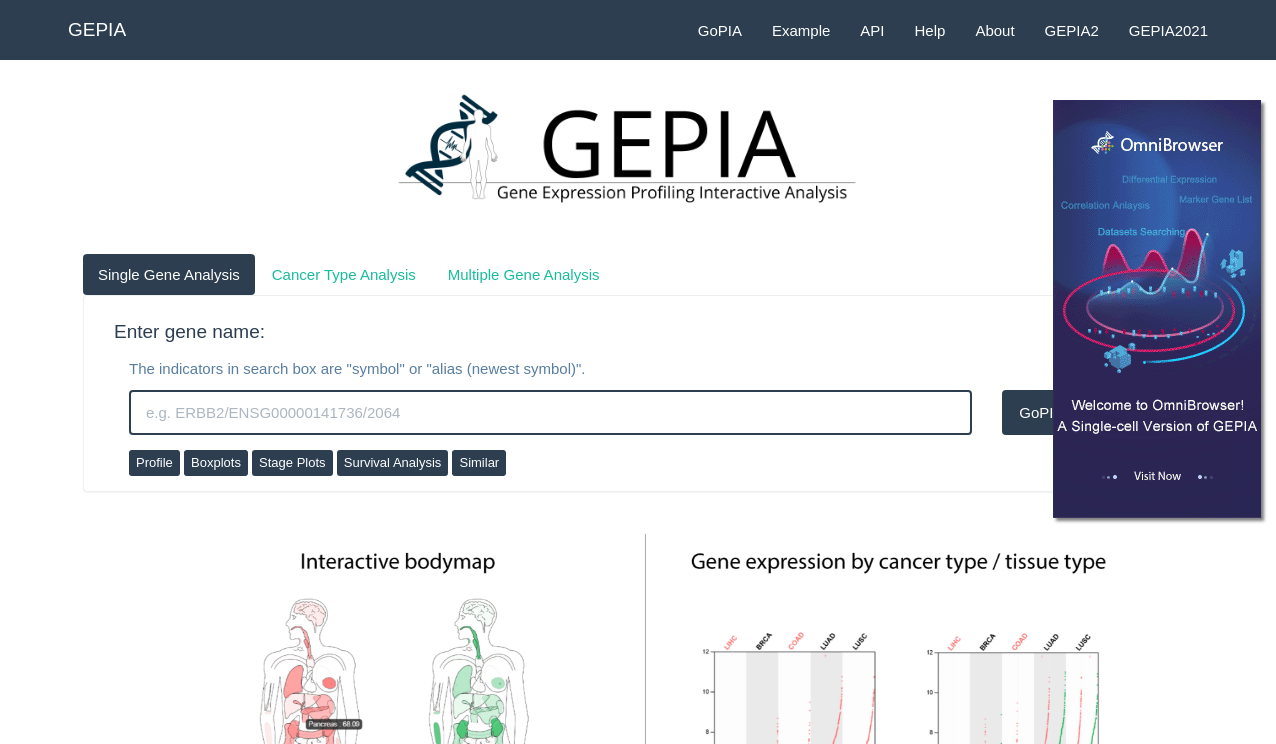 GEPIA: a web server for cancer and normal gene expression profiling and ...
