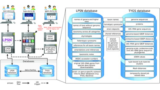 TYGS and LPSN: a database tandem for fast and reliable genome-based ...