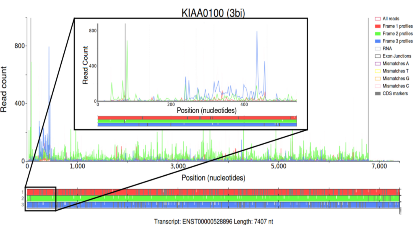 Trips-Viz: a transcriptome browser for exploring Ribo-Seq data ...