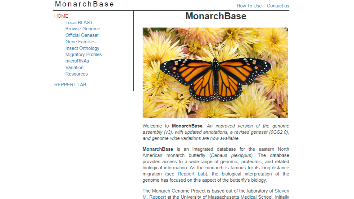 MonarchBase: the monarch butterfly genome database | BioTreasury