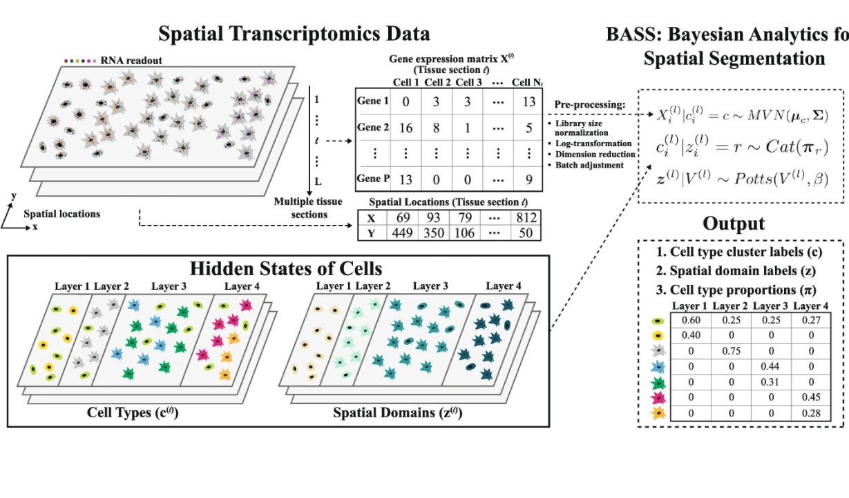 BASS: multi-scale and multi-sample analysis enables accurate cell type ...
